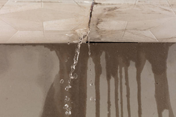 Professional Flood Damage Cleanup technician working in Edwardsville, KS